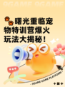 🐾曙光重临宠物特训营爆火玩法大揭秘！