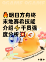 🔥明日方舟终末地赛希技能介绍⚡干员强度分析💥