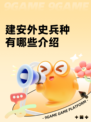 建安外史兵种有哪些介绍