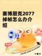 赛博朋克2077掉帧怎么办介绍