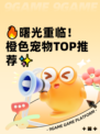 🔥曙光重临！橙色宠物TOP推荐✨