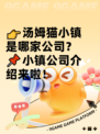 👉汤姆猫小镇是哪家公司？📌小镇公司介绍来啦！