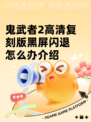 鬼武者2高清复刻版黑屏闪退怎么办介绍