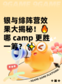 银与绯阵营效果大揭秘！🔥哪 camp 更胜一筹？✨