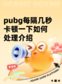 pubg每隔几秒卡顿一下如何处理介绍