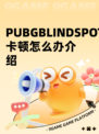 PUBGBLINDSPOT卡顿怎么办介绍