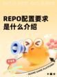 REPO配置要求是什么介绍