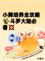 小舞培养全攻略✨斗罗大陆必看💥