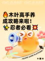 🔥木叶高手养成攻略来啦！✨忍者必看💥