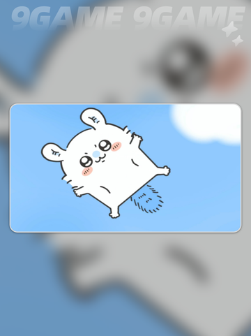 口袋吉伊卡哇飞鼠介绍介绍截图4