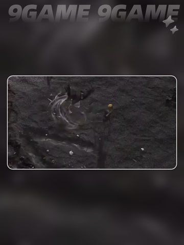 🔥流放之路2法师玩法大全✨新手必看！截图2