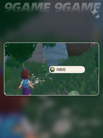 洛克王国世界前期攻略介绍截图5