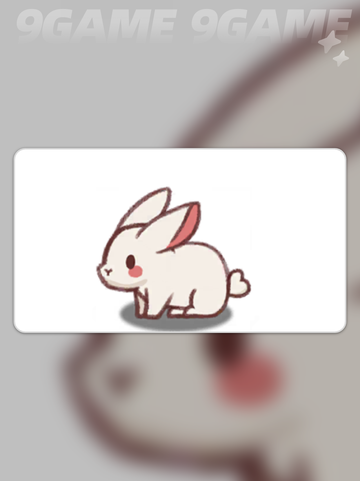 嘟嘟脸萌宠 prank 😂宠物解压TOP榜 🐾截图3