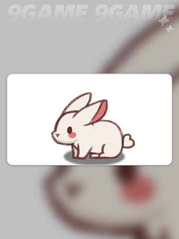 嘟嘟脸萌宠恶作剧大揭秘！🐾💥截图4