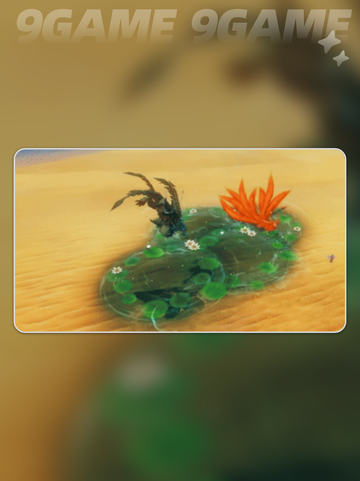 妄想山海🔥蒲牢超全介绍来啦！新手必看✨截图4