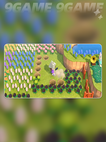 🌾星布谷地新手必看‼🎮截图2