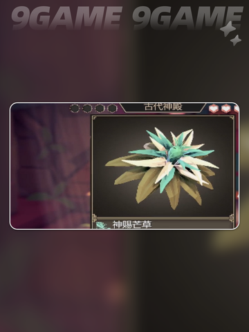 💥石头皮肤秒解秘籍！🔥截图5