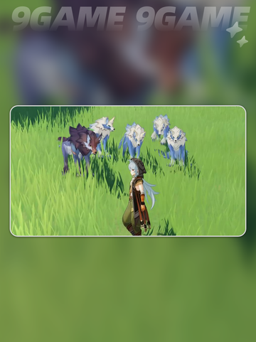 🐺原神6.2狼出没位置大揭秘！截图5