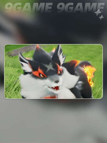🔥伊莫小炭犬爆火出圈！好玩到停不下来？🐶💥截图4