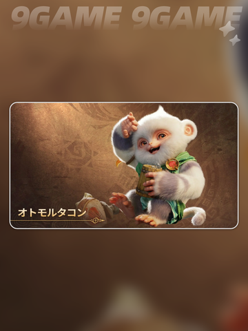 🔥怪物猎人随从大揭秘！三大职业全解析💥截图4