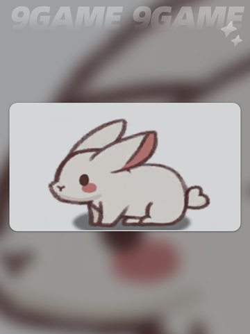 🐾嘟嘟脸萌宠恶作剧大揭秘！😍截图3