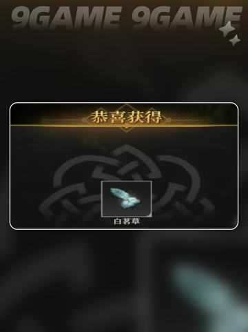 🎮《地下城堡4》白茗草获取攻略！🌿截图2