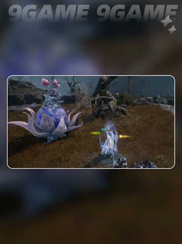 ⚔天堂2盟约单手剑神操作截图2