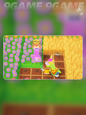 ✨星绘友晴天奇迹立方🔥新手必看💥截图5