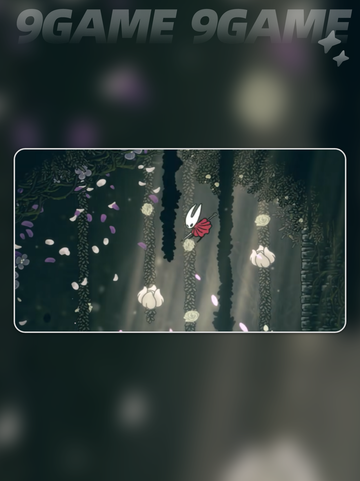 ✨空洞骑士丝之歌花芯仪式全攻略！截图6