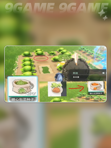 🌱蓝色星原种菜秘籍大公开！🥕截图5