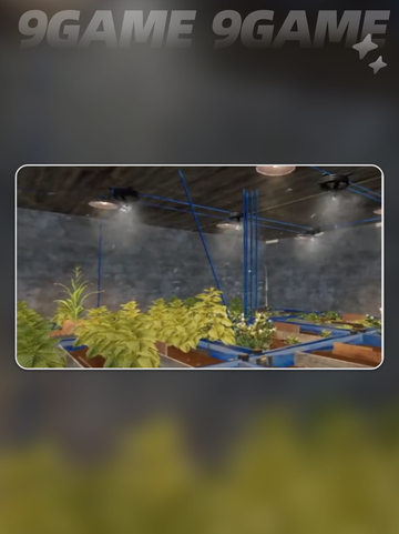 🌱失控进化：大型种植箱玩法大揭秘！💥截图2