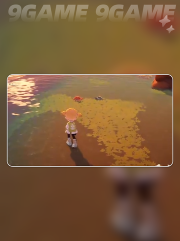 🦀星布谷地抓蟹秘籍！超刺激体验截图3