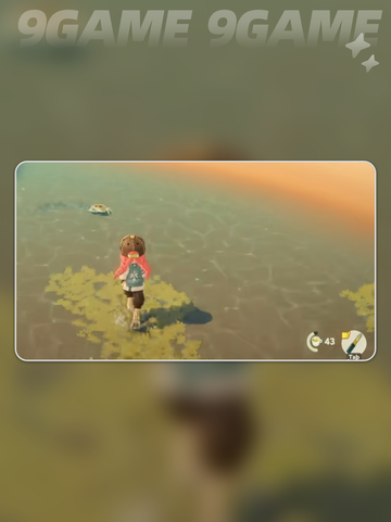 🦀星布谷地抓蟹秘籍！超刺激截图2