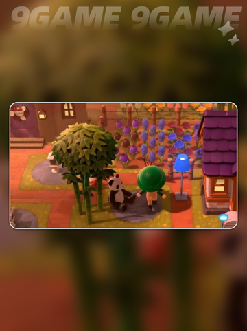 🌾星布谷地种植秘籍大公开！🌱截图5