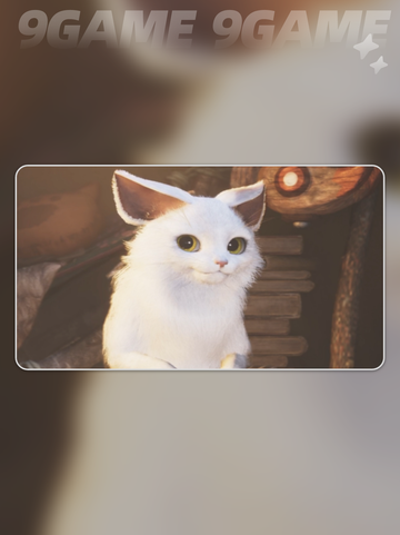 怪物猎人荒野艾露猫有什么用介绍截图4