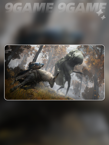 🎮艾尔登法环卡顿掉帧？一招解决！💥截图3