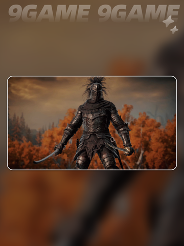 🎮艾尔登法环闪退？掉帧卡顿有救了！✨截图3