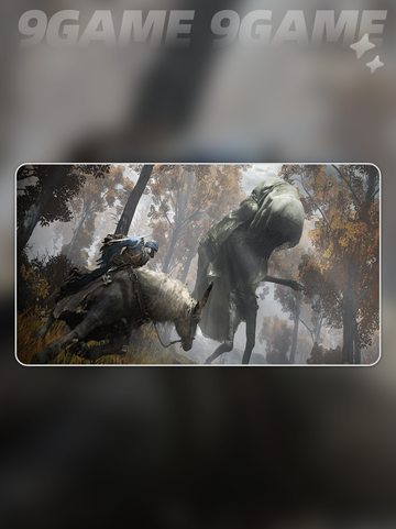 💥艾尔登法环闪退？一招解决！🎮截图2