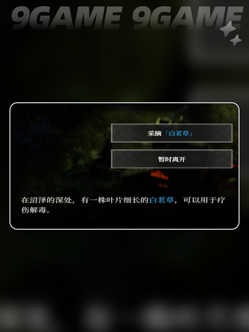 💥地下城堡4白茗草位置🔥超详细📌攻略📍截图4