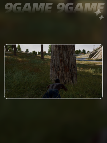 pubg欧服加速器怎么选介绍截图3
