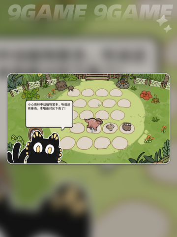 🐾猫神牧场风神翼龙测评！✨截图5