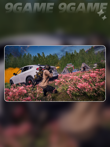 pubg显存不足闪退怎么办分享截图3