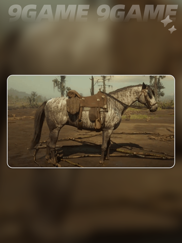 🔥荒野大镖客PC版最强马推荐🐎🎮截图4