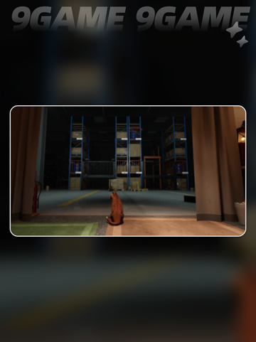 猫好货坏注册地址在哪介绍截图3