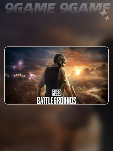 pubg闪退崩溃怎么办介绍截图2