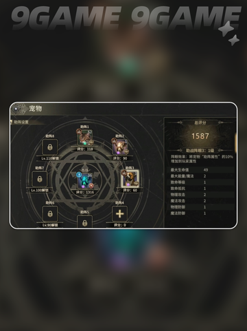 🐾奇迹世界起源宠物全收录！获取攻略大揭秘✨截图8