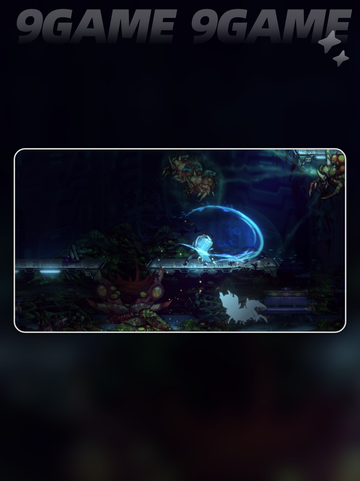AnimaFlux黑屏闪退解决办法介绍截图2