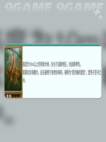 大航海时代传说📍长角豆隐藏位置大揭秘🎉截图3