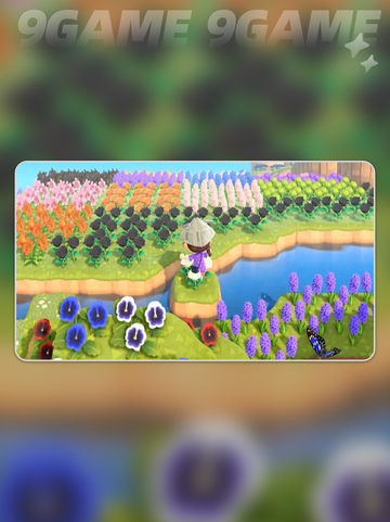 🌾星布谷地新手必看‼🎮截图3