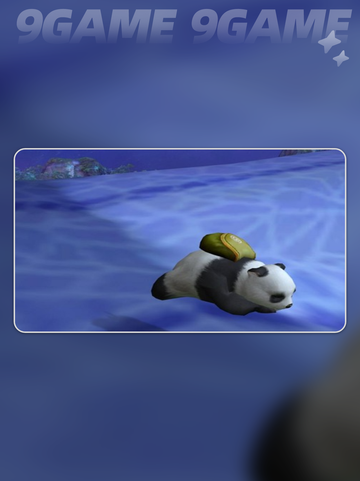 🐾AION2宠物养成秘籍大公开！截图3